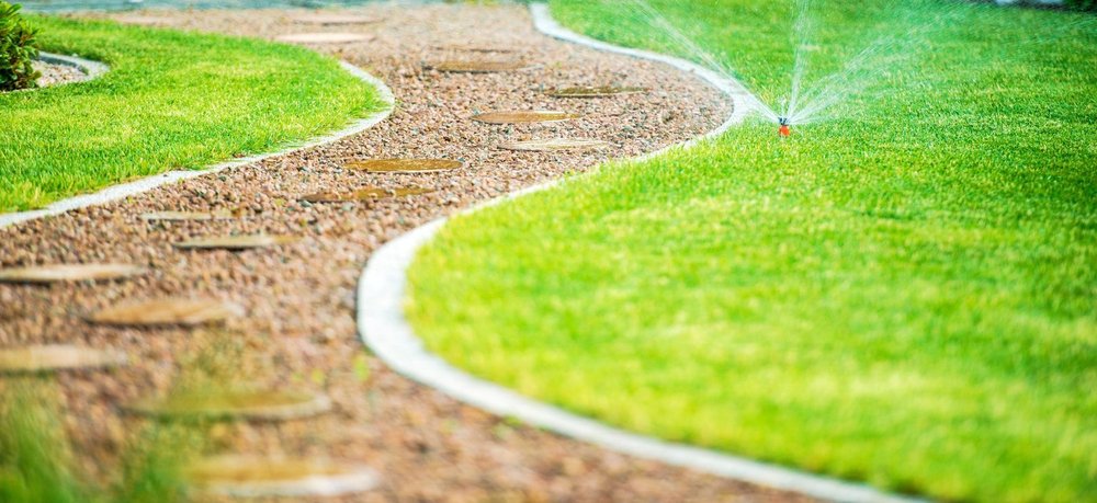 SAP S/4HANA nach dem Go-Live nachhaltig stabilisieren und weiterentwickeln