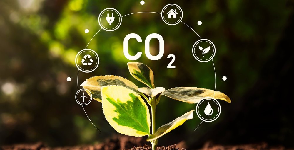 Pflanze mit CO₂-Schriftzug und Symbolen für Energie, Kreislaufwirtschaft, Gebäude, Umwelt und Wasser