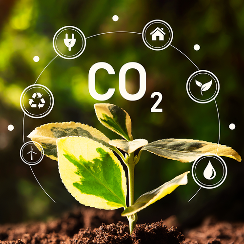 Pflanze mit CO₂-Schriftzug und Symbolen für Energie, Kreislaufwirtschaft, Gebäude, Umwelt und Wasser