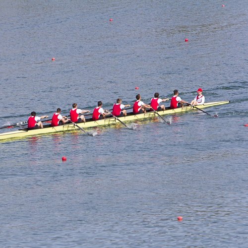 Ein Achter-Ruderboot mit acht synchron rudernden Teammitgliedern und Steuermann als Symbol für agile Zusammenarbeit, klare Führung und erfolgreiche Transformation im Banking.